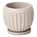 ͧ�� ���ȥ�������̣£� ������  TD345 ����ȭ ������� �����ǥ˥� ������� �ե��ݥå� ƫ�� ����ߥå�ȭ