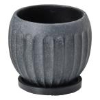 ͧ�� ���ȥ�������̣� ������  TD349 ����ȭ ������� �����ǥ˥� ������� �ե��ݥå� ƫ�� ����ߥå�ȭ