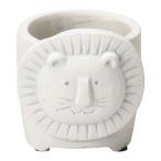 ͧ�� �ꥪ�󥹥ե����륵������ͣ� TD324 ����ȭ ������� �����ǥ˥� ������� �ե��ݥå� ƫ�� ����ߥå�ȭ