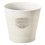 ͧ�� �ե�ƥ�˥ƥ�������� MS789 ����ȭ ������� �����ǥ˥� ������� �ե��ݥå� ��������ȭ