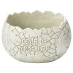 ͧ�� �ǥ��Υ����륦�ե磻�ɣ� 5E3699 ����ȭ ������� �����ǥ˥� ������� �ե��ݥå� ưʪ�������ȭ