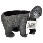 ͧ�� ���꡼�楹����ɥݥå� 5E3714 ����ȭ ������� �����ǥ˥� ������� �ե��ݥå� ưʪ�������ȭ