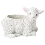 ͧ�� �ࡼ�ȥ󥵥����ݥå� 5E3707 ����ȭ ������� �����ǥ˥� ������� �ե��ݥå� ưʪ�������ȭ