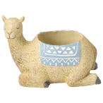 ͧ�� ����⡼�������ݥå� 5E3711 ����ȭ ������� �����ǥ˥� ������� �ե��ݥå� ưʪ�������ȭ