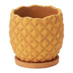 ͧ�� ��ʥʥ��ݥå� ������  TD419 ����ȭ ������� �����ǥ˥� ������� �ե��ݥå� ������ȭ