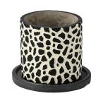 ͧ�� �쥪�ѡ���ݥåȣ� ������  TD423 ����ȭ ������� �����ǥ˥� ������� �ե��ݥå� ������ȭ