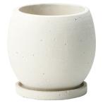 ͧ�� �ץ饤�󥰥꡼���ܥ���ͣ� ������  TD464 ����ȭ ������� �����ǥ˥� ������� �ե��ݥå� ������ȭ