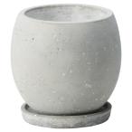 ͧ�� �ץ饤�󥰥꡼���ܥ���ӣǣ� ������  TD466 ����ȭ ������� �����ǥ˥� ������� �ե��ݥå� ������ȭ