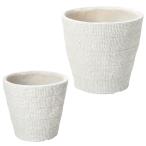 ͧ�� ����ݥ��󥵡�����2�����åȣ� GF3783 ����ȭ ������� �����ǥ˥� ������� �ե��ݥå� ���饹�ե����С�ȭ