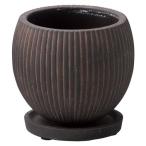 ͧ�� �ܥ���ݥåȣӣ� ������  TL220 ����ȭ ������� �����ǥ˥� ������� �ե��ݥå� ������ȭ