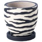 ͧ�� ���֥륵������ӣ� ������  TD525 ����ȭ ������� �����ǥ˥� ������� �ե��ݥå� ������ȭ