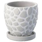 ͧ�� �쥪�ѡ��륵������ͣǣ� ������  TD528 ����ȭ ������� �����ǥ˥� ������� �ե��ݥå� ������ȭ