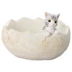 ͧ�� ����åȥ��å��ݥå� 5E3976 ����ȭ ������� �����ǥ˥� ������� �ե��ݥå� �쥸��ȭ