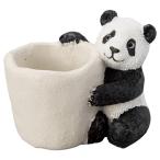 ͧ�� �ѥ���ݥå� 5E3940 ����ȭ ������� �����ǥ˥� ������� �ե��ݥå� �쥸��ȭ