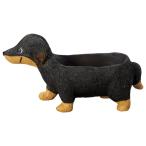 ͧ�� ���å����ե�ȥݥåȣ� 5E3967 ����ȭ ������� �����ǥ˥� ������� �ե��ݥå� �쥸��ȭ