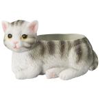 ͧ�� ����åȥݥå� 5E3968 ����ȭ ������� �����ǥ˥� ������� �ե��ݥå� �쥸��ȭ