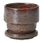 友膳 エマールポットSGY 受皿付  T818 植木鉢 おしゃれ ガーデニング 園芸用品 フラワーポット 陶器 セラミック鉢