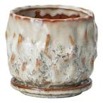 ショッピングエマール 友膳 エマールレリーフポットSW 受皿付  T821 植木鉢 おしゃれ ガーデニング 園芸用品 フラワーポット 陶器 セラミック鉢