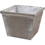 �ò� �綶������Ź ���åɥץ�󥿡� ���졼 ��5 63-305 ����ȭ ������� �����ǥ˥� ������� �ե��ݥå� ����ȭ