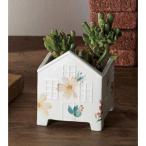 ����ۥӡ� �ե��ϥ��� �����ĥ� SP-1275 ����ȭ ������� �����ǥ˥� ������� �ե��ݥå� ƫ�� ����ߥå�ȭ