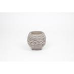 ������07 ¼�Ĳ����� �����������ץݥåȣ� 1858 ����ȭ ������� �����ǥ˥� ������� �ե��ݥå� ������ȭ