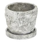 ������07 ¼�Ĳ����� �饮�åɥ��ȡ���ݥåȣ� 1910 ����ȭ ������� �����ǥ˥� ������� �ե��ݥå� ������ȭ