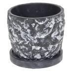 ������07 ¼�Ĳ����� �֥�å����ȡ���ݥåȣ� 1919 ����ȭ ������� �����ǥ˥� ������� �ե��ݥå� ������ȭ