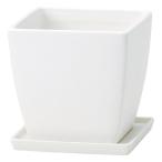 �ò� Paseo ����ߥå��ץ�󥿡� JT-09-15WH ����ȭ ������� �����ǥ˥� ������� �ե��ݥå� ƫ�� ����ߥå�ȭ