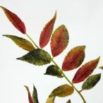  искусственный цветок { живые цветы транскрипция }FIANsorubs leaf pick LAV LS0013LAV искусственный цветок ветка предмет momiji гинкго 