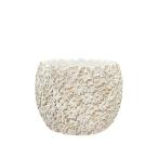 CARNAC Дэйзи цветок Basic L-WH белый CW03WH цветочный горшок модный садоводство садоводство сопутствующие товары цветок pot цемент горшок 