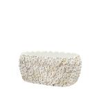  цветочный горшок модный CARNAC Дэйзи цветок овальный S-WH белый CW06WH садоводство садоводство сопутствующие товары цветок pot цемент горшок 