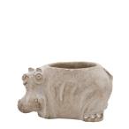  день ограничение 07 CARNAC пятно - men pot hipoSY07 * доставка день . подтвердите пожалуйста 