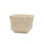  день ограничение 07 CARNACfabi Anne квадратное WH белый CQ2510WH * доставка день . подтвердите пожалуйста 