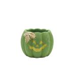 CARNAC Halloween Jack o- фонарь 25-L-GR зеленый CPHW42GR цветочный горшок модный садоводство садоводство сопутствующие товары цветок pot цемент горшок 