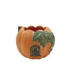 CARNAC Halloween тыква house 25-S-OR orange CPHW34OR цветочный горшок модный садоводство садоводство сопутствующие товары цветок pot цемент горшок 