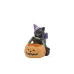 CARNAC Halloween resin pot 26 кошка OR orange HGHW08OR садоводство садоводство сопутствующие товары цветочный горшок цветок pot resin горшок 