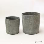 ������08 Benny��s �ץ�󥿡��ӡ�2 BL-034BI ����ȭ ������� �����ǥ˥� ������� �ե��ݥå� ��������ȭ