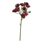  день ограничение 07 искусственный цветок parese dam pick балка gun ti-P-8276-50 искусственный цветок лист предмет, искусственная зелень суккулентное растение 