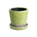 ������08 ����ȥ� ���顼 ���졼���� �ݥå� �饤�॰�꡼�� CH13-G476LGN ����ȭ ������� �����ǥ˥� ������� �ե��ݥå� �ƥ饳�å� �ǾƤ�