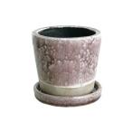 ������08 ����ȥ� ���顼 ���졼���� �ݥå� �饤�ȥѡ��ץ� CH13-G476LPL ����ȭ ������� �����ǥ˥� ������� �ե��ݥå� �ƥ饳�å� �ǾƤ�