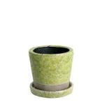 ������08 ����ȥ� ���顼 ���쥤���� �ݥå� �饤�॰�꡼�� CH15-G527LGN ����ȭ ������� �����ǥ˥� ������� �ե��ݥå� �ƥ饳�å� �ǾƤ�