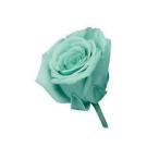  консервированный большой земля сельское хозяйство . Vivian Mini selection 9 Lynn mint blue 2371-622 консервированный цветок материалы для цветочной композиции роза rose 