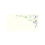 chikyuu поздравление s подарок карта многоцелевой 50 листов G-218 сообщение карта поздравительная открытка 