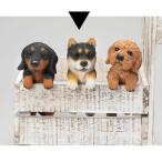 エイチツーオー ミニハンギング 黒柴 HT7279　2個 雑貨 置物 オーナメント 置物 オーナメント