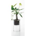エイチツーオー スコンガラスＳ HT6861 6個 花器 花瓶 ガラス花器