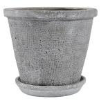 ������07 DoLABO �����٥ݥå�18 ���졼 64736 6�� ����ȭ ������� �����ǥ˥� ������� �ե��ݥå� �ƥ饳�å� �ǾƤ�