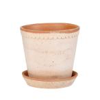 日限定07 DoLABO ＢＰヘレナ25 ナチュ