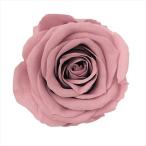  день ограничение 10 консервированный 1 колесо распродажа большой земля сельское хозяйство . rose ушко (уголок) mauve розовый 03840-192 консервированный цветок материалы для цветочной композиции роза rose 