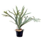 日限定07造花POSHLIVING...