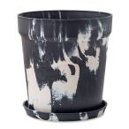 ������07 POSH LIVING �����Х�ץ��ĥݥå� �ޡ��֥� ���㥳���� �ߥ륯 81060 ����ȭ ������� �����ǥ˥� ������� �ե��ݥå� �ץ饹���å�ȭ